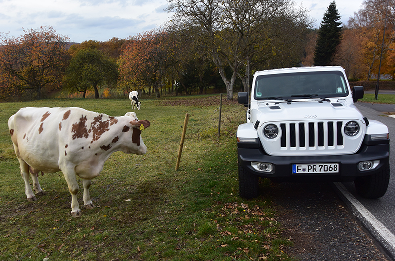 Jeep Wrangler "Rubicon"